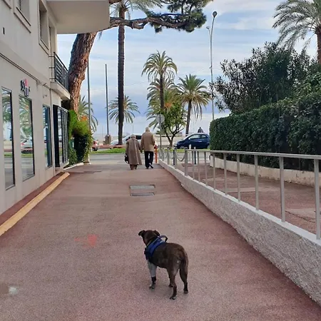 Sablettes Sea View * 芒通